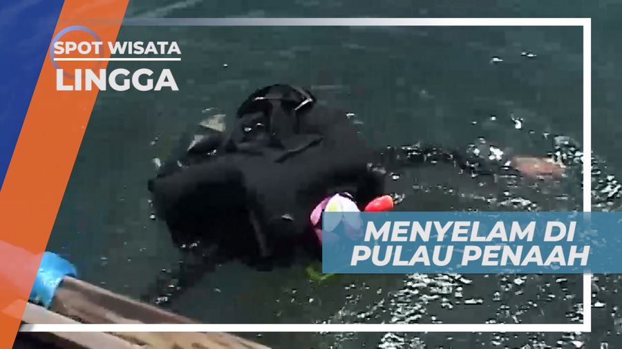 Keindahan Biota Laut Pulau Penaah, Lingga