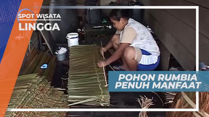 Aneka Manfaat Pohon Rumbia, Dari Kulit Hingga Daunnya, Lingga