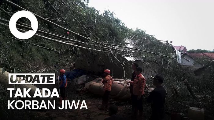 Pohon Usia Ratusan Tahun Timpa Gudang Penyimpanan Bawang di Majalengka