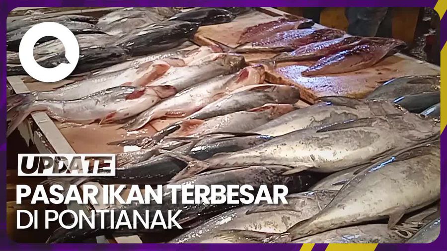 Melihat Aneka Ikan di Pasar Flamboyan Pontianak