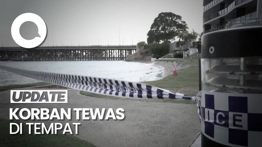 Gadis 16 Tahun Tewas Diterkam Hiu Saat Berenang di Sungai Australia