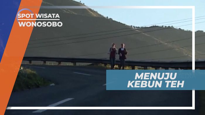 Sejuk Segar Udara Menuju  Agrowisata Kebun Teh Tambi, Wonosobo