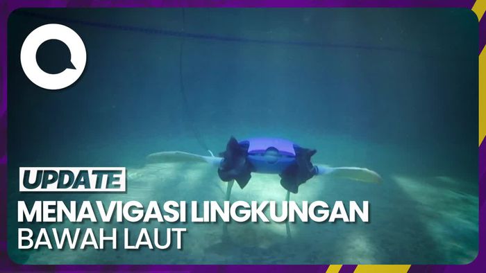 Inovasi Robot Amfibi yang Terinspirasi dari Penyu