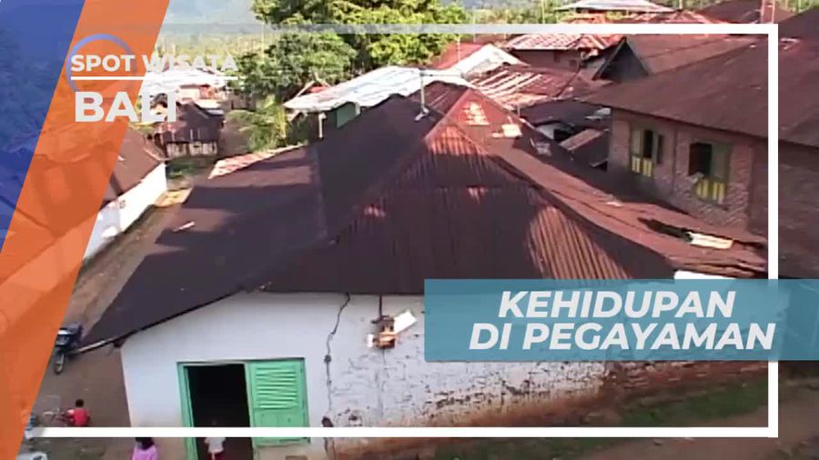 Petani, Mayoritas Mata Pencaharian Warga Desa Pegayaman Bali