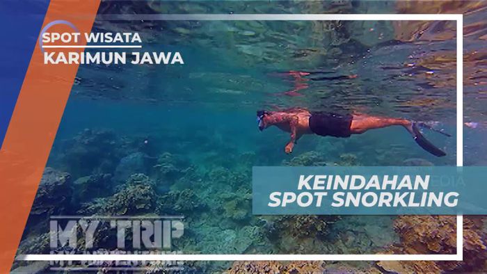 Snorkeling Menikmati Keindahan Bawah Laut Karimun Jawa