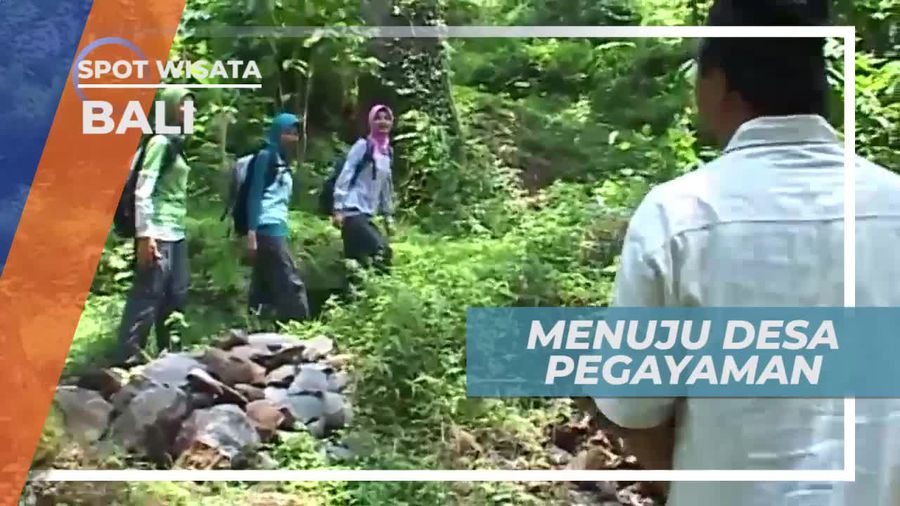 Melihat Sistem Perairan Subak di Desa Pegayaman Bali
