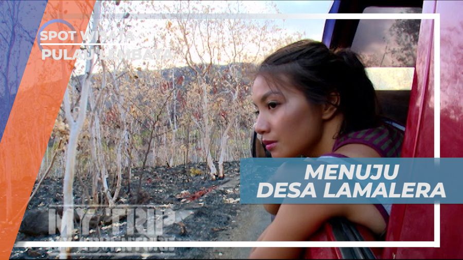 Desa Lamalera, Menikmati Perjalanan Menuju Desa Unik Pulau Lembata