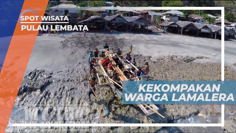 Desa Lamalera, Kekompakan Masyarakat Dalam Berburu di Laut, Pulau Lembata