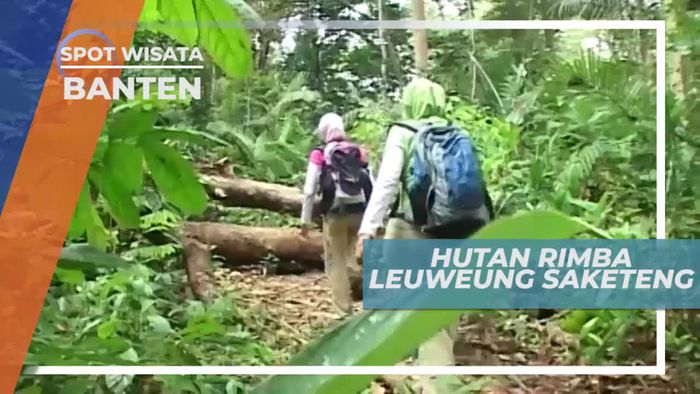 Leuweung Saketeng, Hutan Cagar Alam di Selatan Banten