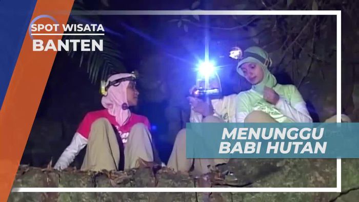 Menyebar Ubi dan Singkong, Umpan Perburuan, Banten