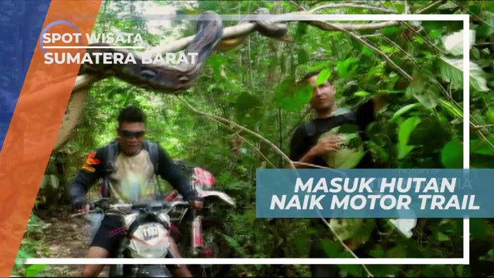 Menyusuri Hutan Menuju Air Terjun Sumatera Barat