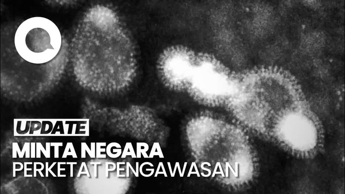 Peringatan WHO usai Muncul Infeksi Flu Burung H5N1 pada Mamalia