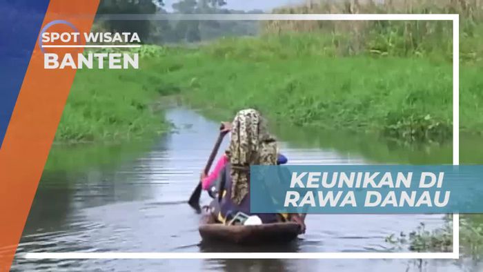 Dua Aliran Air yang Terpisah, Keunikan Rawa Danau Banten
