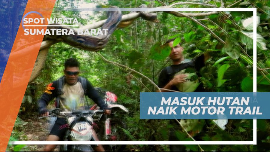 Melewati Jalan Setapak Menembus Hutan Menuju Air Terjun, Sumatera Barat
