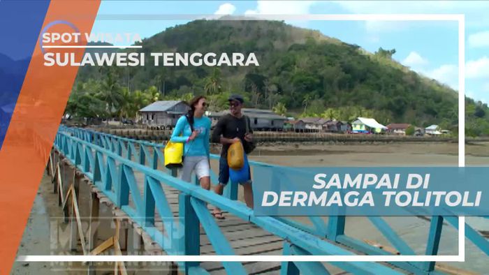 Panorama Perkebunan Kering di Dermaga Tolitoli Sulawesi Tenggara