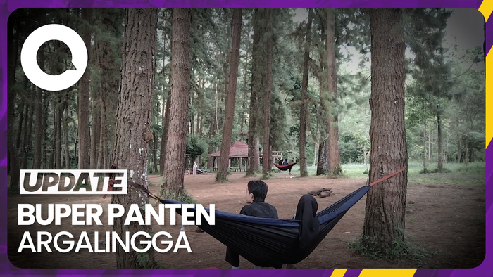 Wisata Hutan Pinus di Majalengka yang Cocok untuk Healing