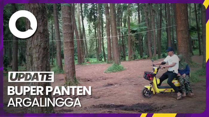 Wisata Hutan Pinus di Majalengka, Cocok untuk Melepas Penat