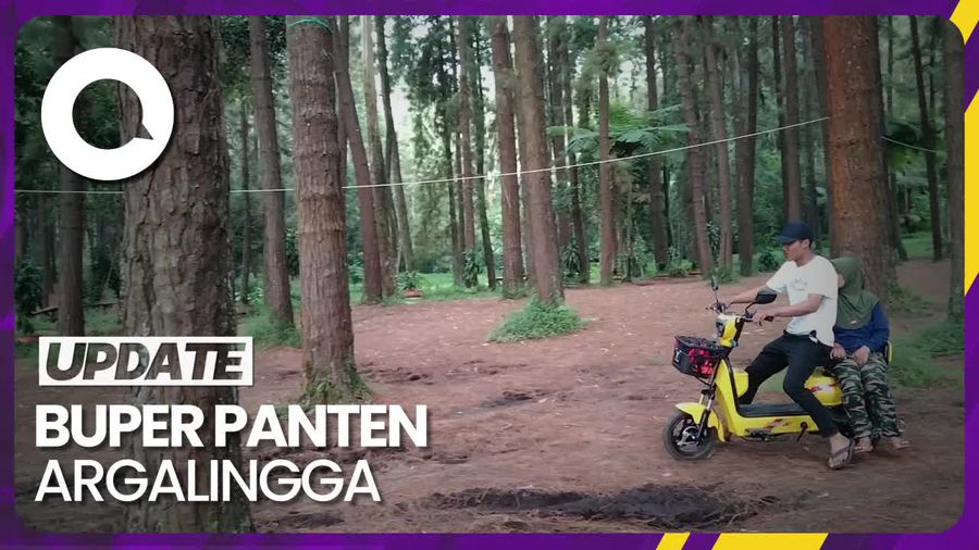 Wisata Hutan Pinus di Majalengka, Cocok untuk Melepas Penat