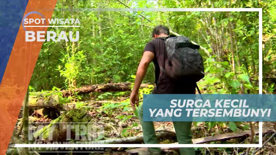Goa Tengah Hutan Berau Kalimantan Timur, Surga Kecil yang Tersembunyi