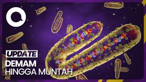 Kenali_Gejala_Awal_Virus_Marburg_y_fYgzxwB-20230216190718-custom Kenali_Gejala_Awal_Virus_Marburg_y_fYgzxwB-20230216190718-custom