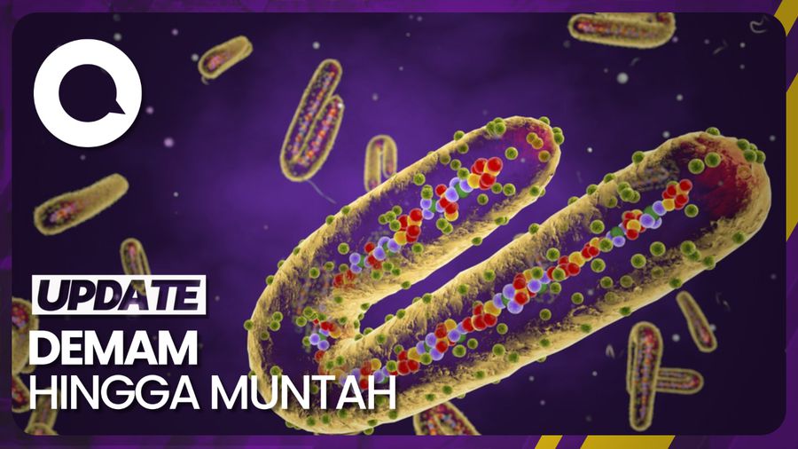 Kenali Gejala Awal Virus Marburg yang Muncul di Afrika