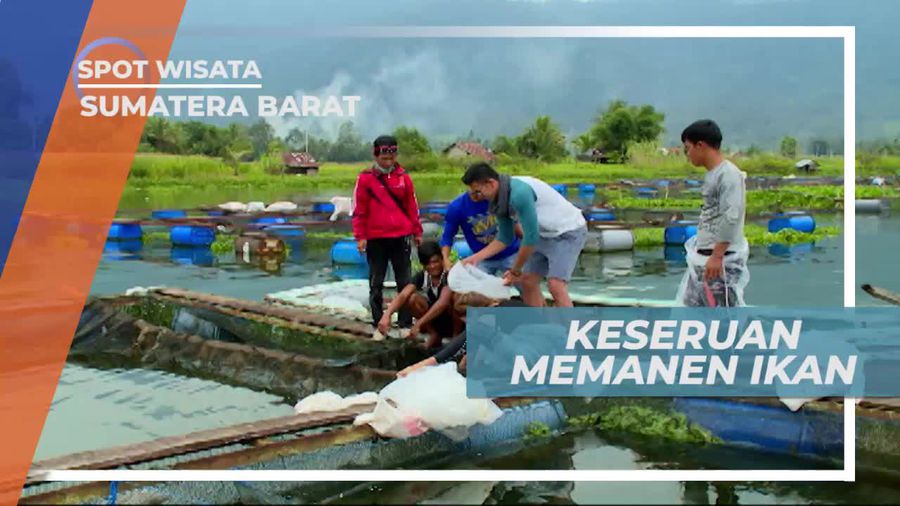 Menjaring Ikan di Danau Maninjau Sumatera Barat