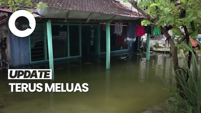35 Desa di Lamongan Terendam Banjir Akibat Luapan Bengawan Njero
