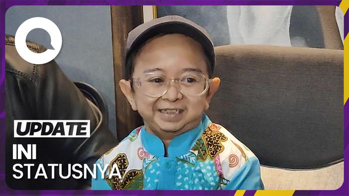 Fakta Anak yang Diperebutkan Shelvie Hana dan Daus Mini