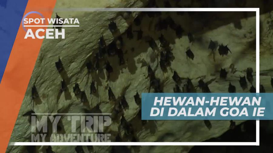 Dihuni Ikan Lele dan Kelelawar, Keunikan Goa Ie Aceh