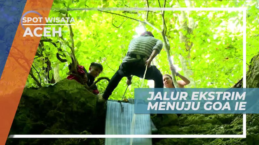 Hamparan Ilalang Eksotis di Jalur Menuju Goa Ie Aceh