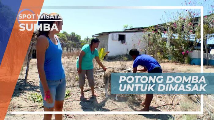 Domba, Kuliner Favorit di Waijelo Sumba Timur