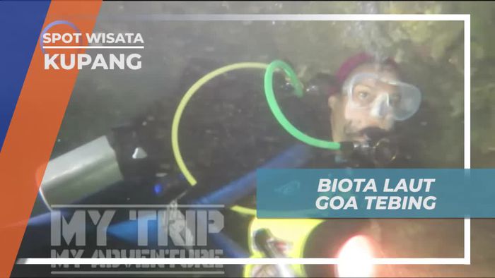 Menikmati Keindahan Alam Goa Tebing Kupang