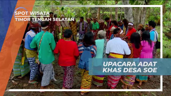Menari Dalam Upacara Adat Khas Desa SOE, Timor Tengah Selatan