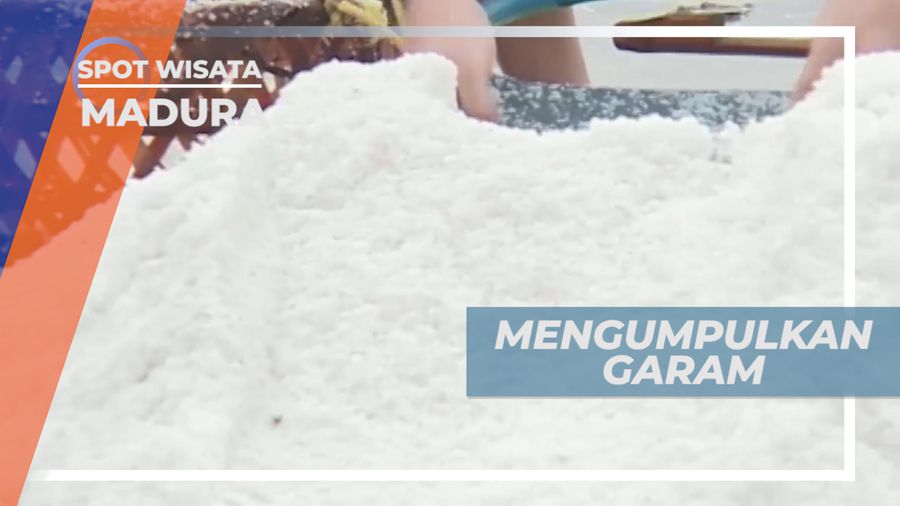 Serunya Perjuangan Sebelum Memanen Garam, Madura