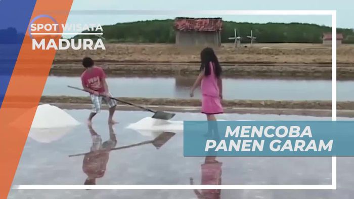 Panen Garam Ditengah Panasnya Cuaca, Madura