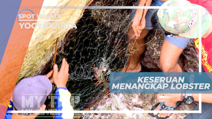 Seruya Menagkap Lobster di Antara Tebing Karang, Yogyakarta