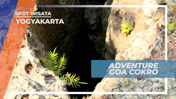 Mengujungi Keunikan Gua Cokro di gunung Kidul, Yogyakarta