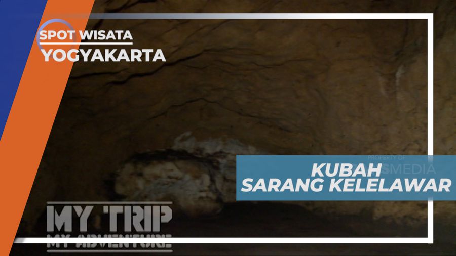 Kubah Besar Rumah Bagi Ribuan Kelelawar di Dalam Gua Cokro, Yogyakarta