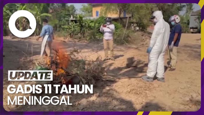 Ketakutan Warga Kamboja Usai Muncul Kasus Flu Burung H5N1