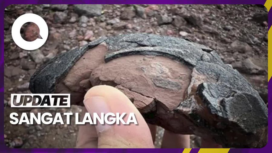 Fosil Telur Dinosaurus Ditemukan di Korea Selatan