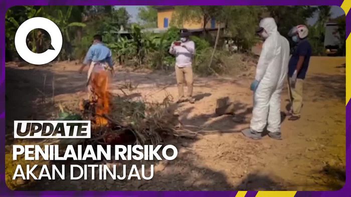WHO Investigasi Asal Paparan Flu Burung di Kamboja