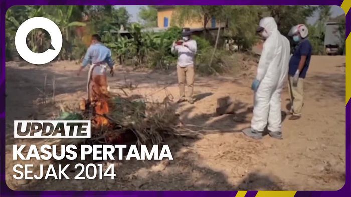 WHO Beberkan Kronologi Temuan Kasus Flu Burung di Kamboja