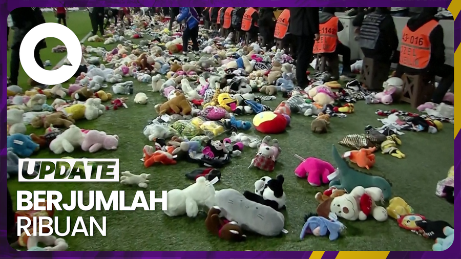  Hujan Teddy Bear di Lapangan Sepak Bola untuk Korban Gempa Turki