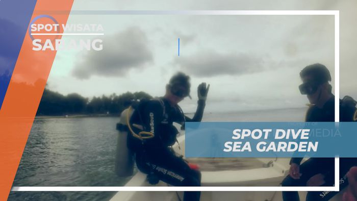 Sea Garden, Spot Diving Dengan Beragam Bioata Laut yang Memukau, Sabang