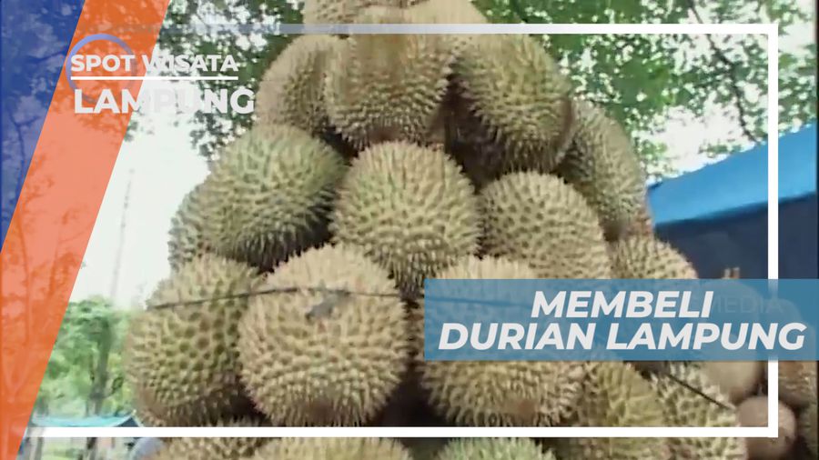 Berburu Manis Legit Si Raja Buah Khas Lampung, Bandar Lampung