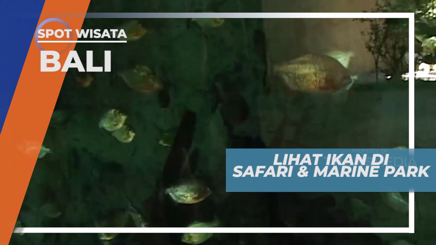 Mengunjungi Taman Wisata Satwa di Pulau Dewata, Bali