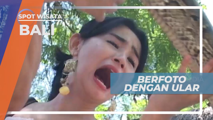 Sensasi Seru Berpose Cantik Dengan Ular Berukuran Besar, Bali