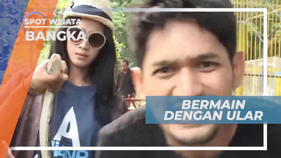 Uji Nyali Berpose Seru Bareng Ular di Taman Wisata Satwa, Bangka