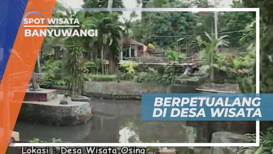 Mengunjungi Uniknya Desa Wisata Adat Osing di Ujung Timur Pulau Jawa, Banyuwangi