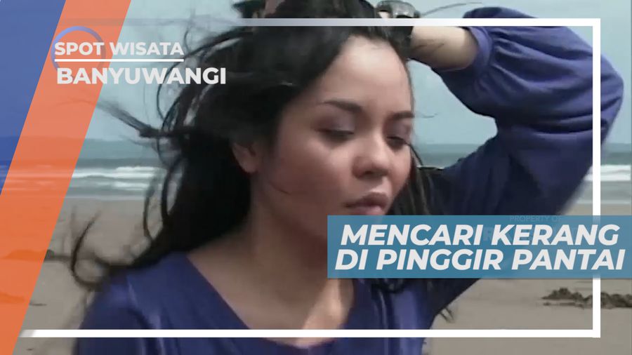 Berburu Kerang di Dalam Pasir Pantai Ngagelan Untuk di Konsumsi, Banyuwangi